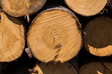 Sourced locally, legally and sustainably 